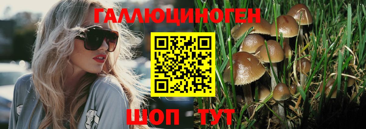 Псилоцибиновые грибы GOLDEN TEACHER  Вход с VPN  Выкса  Псилоцибиновые грибы прущие грибы 